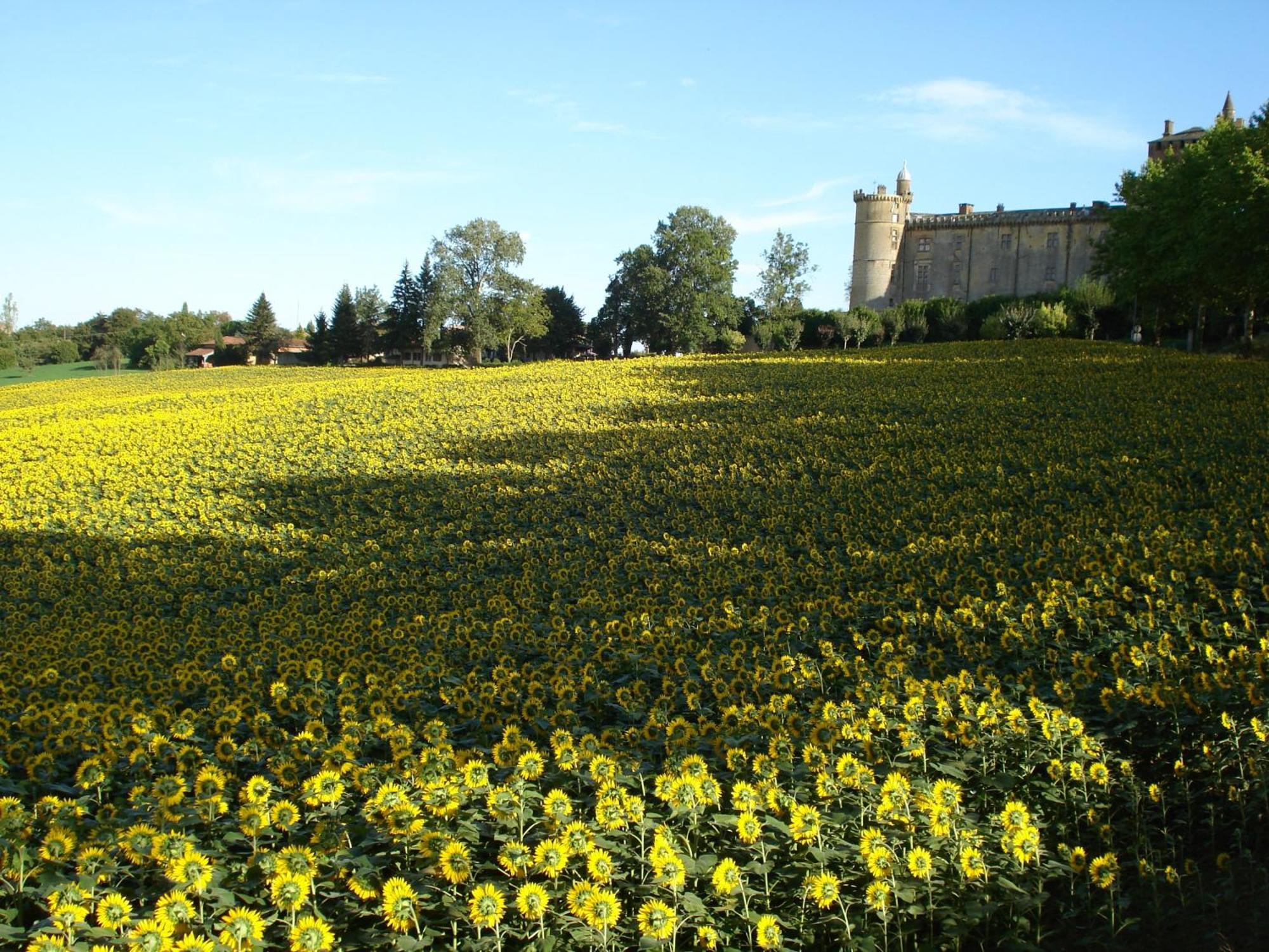 Hotel Relais Du Chateau Saint-Blancard Exteriér fotografie